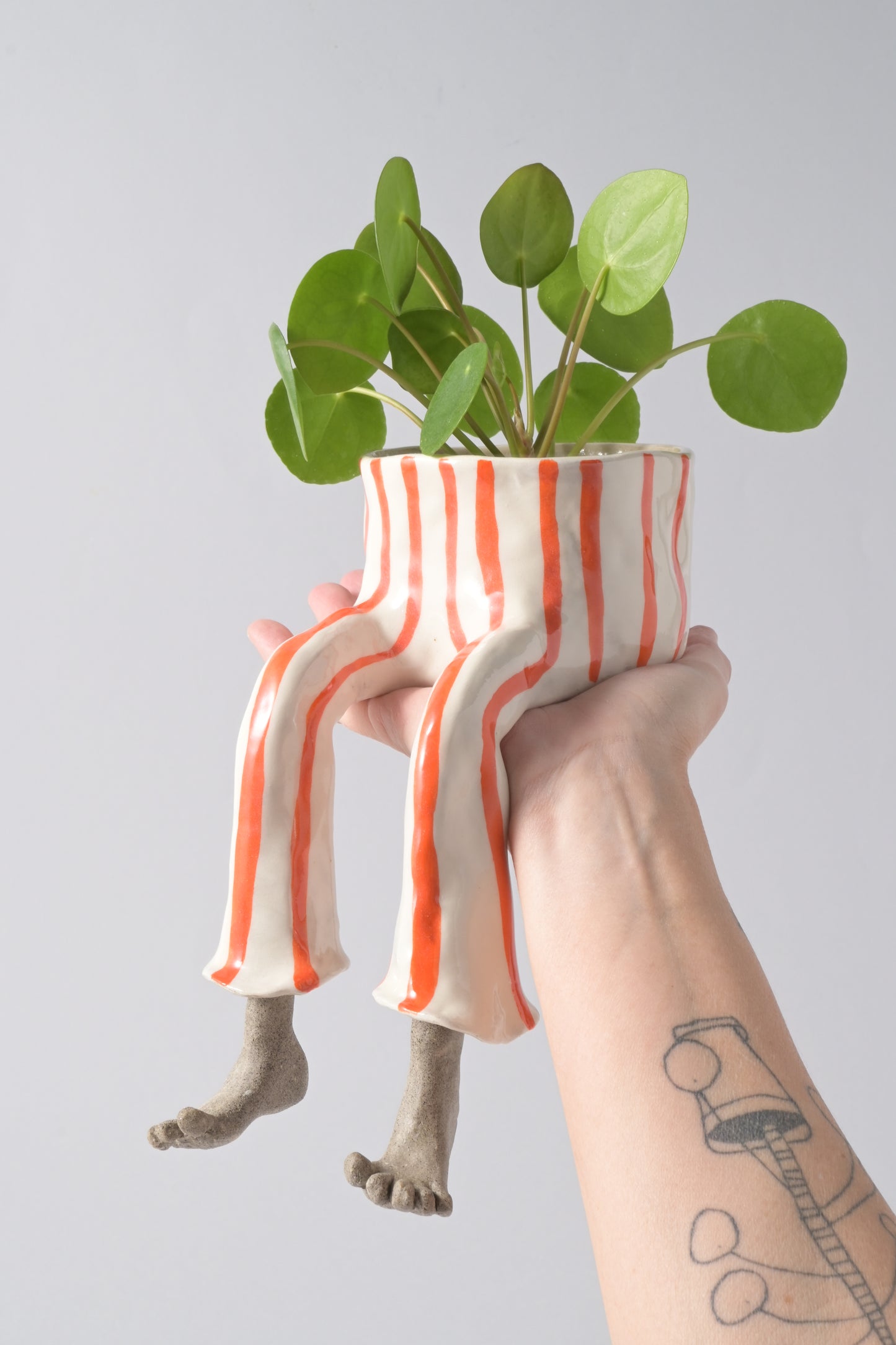 Striped obsession