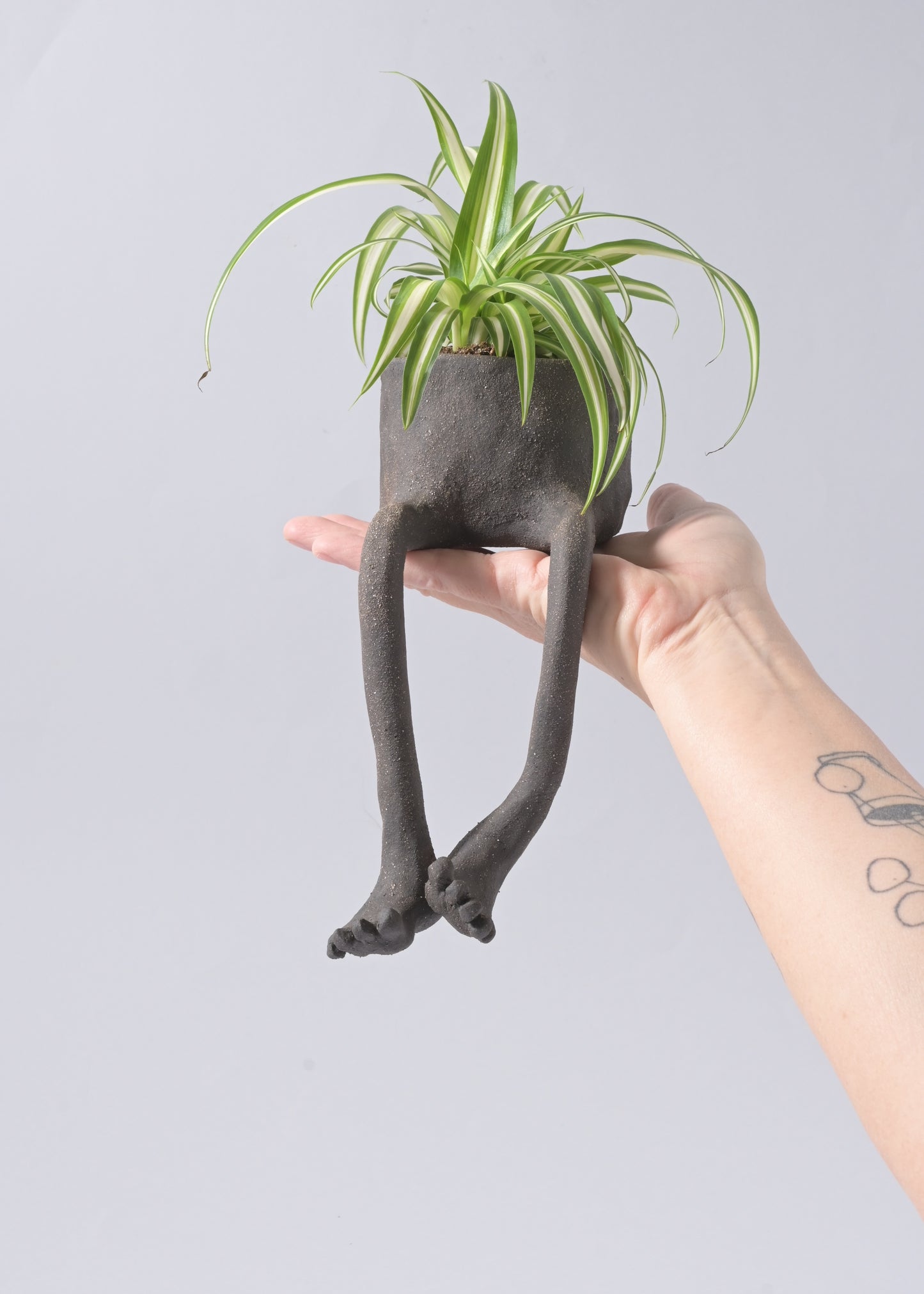 Mr. Barefoot